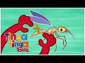 Mosquitos Tall Tales 1 Hour Of African Animal Folk Tales Tinga Tinga Tales Official