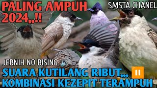 Download lagu mp3 PIKAT KUTILANG RIBUT PALING AMPUH DAN JITU 2025 ANDALKAN OARA SUHU@Smstachanel mp3