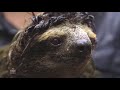 Vice Reports - Folge 9
