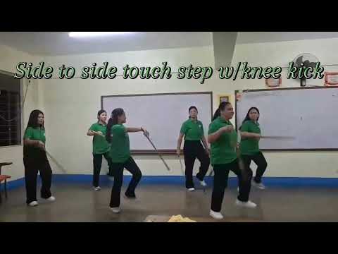 RHYTHMIC GYMNASTICS WAND || PHYSICAL EDUCATION 1