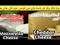 Difference Between Cheddar Cheese And Mozzarella Cheese Which Cheese Used For Making Pizza