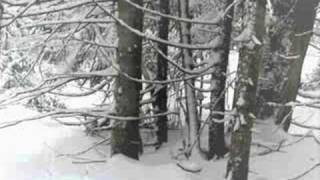 Forgotten Tomb - Disheartenment