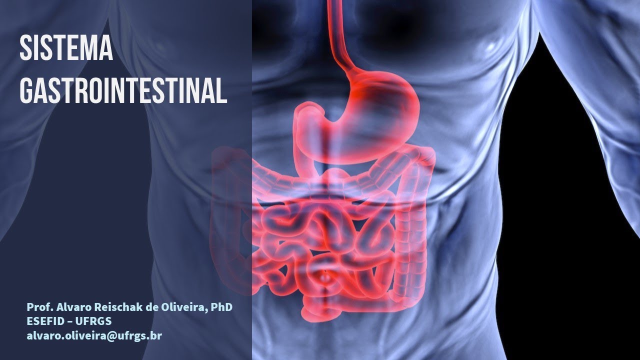 Aula 38  - Sistema Gastrointestinal