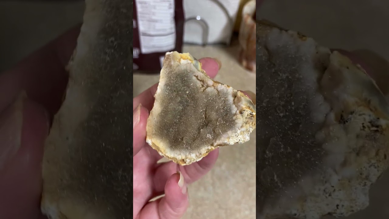 Savannah River Agate #12