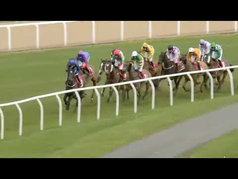 RACE 4   NEWCASTLE   UK  21 FEB 2026