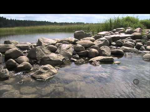 What is the Dubuque Museum of Art?