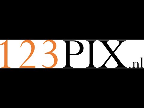 Jaaroverzicht 2020 - 123PIX.nl