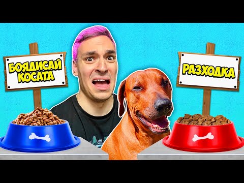 КУЧЕТО МИ КОНТРОЛИРА ДНЕВНАТА РУТИНА ЗА 24 ЧАСА!