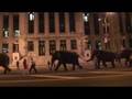 Elephants Trek Through Newark