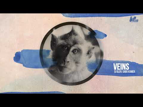 DJ Glen, Gaba Kamer - Veins