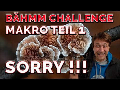 Erneuter Upload 📸  Faszination Makrofotografie Teil 1