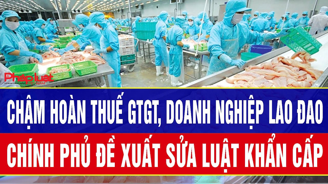 Chậm hoàn thuế GTGT, doanh nghiệp lao đao: Chính phủ đề xuất sửa luật khẩn cấp