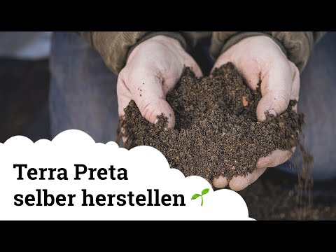 Schwarzerde | Terra Preta selber herstellen 🌱