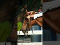 Freedom Lover Girl Horse Riding KK Singer Tu Mujhse Fir Na Ruthna Song