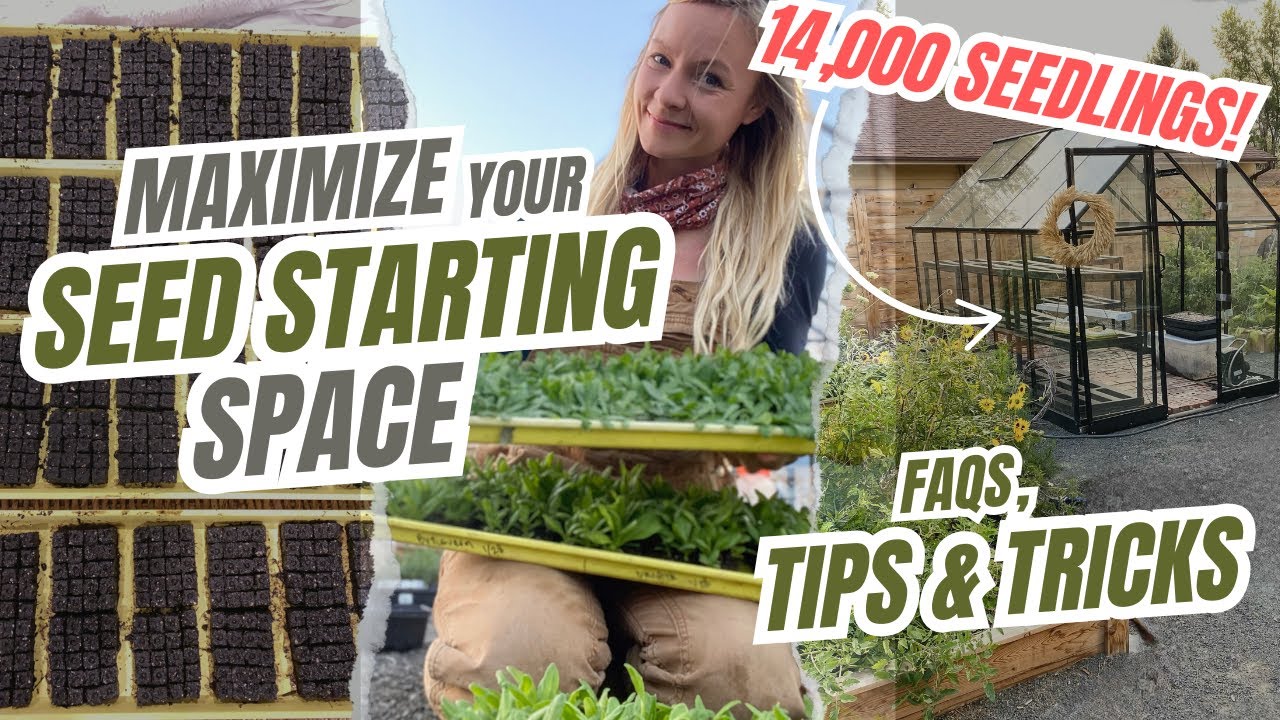 Maximize your seed starting space: tips and tricks from our small farm!