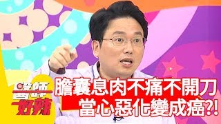 膽囊息肉不會痛就不用開刀？當心惡化變成癌？！【醫師好辣】 20190826  part2 EP798  江坤俊 蕭彤雯