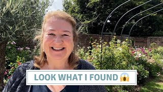 Weekly Gardening Vlog | Planting, Sowing, Deadheading & More // Cottoverdi