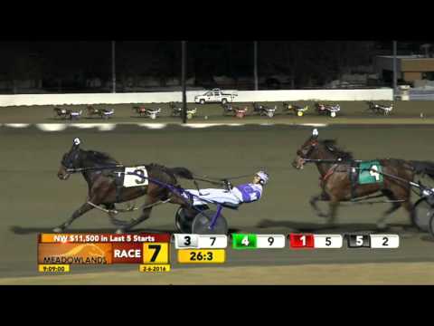 Meadowlands February 6, 2016 - Race 7 - Shooter's Dream