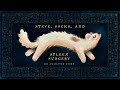 Steve Socks And Spleen Surgery An Animated Story