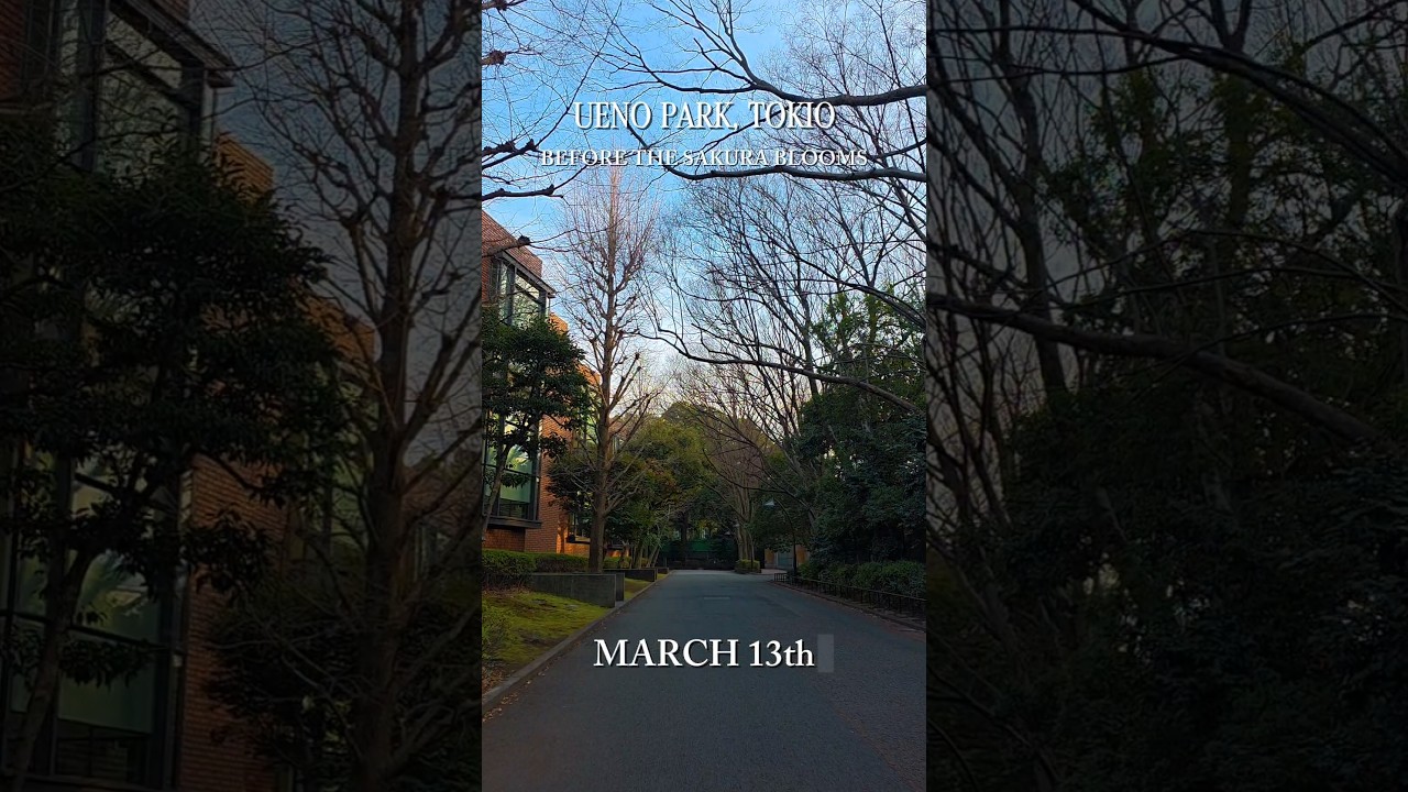 Ueno Park, Tokio BEFORE The Sakura Blooms 🌸🌸