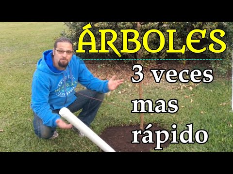 , title : 'como plantar un arbol para que crezca tres veces mas rapido.'