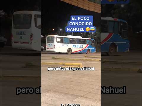 NAHUEL 🚌🫢 #shorts #bus #jujuy #elfuerte #servicio #info #busologo #recorrido #pov #viral #fyp #fup