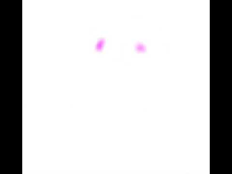 Random edit! || Wixter chxrry shorts