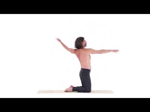 Kamelhaltung dynamisch - Ustra Asana