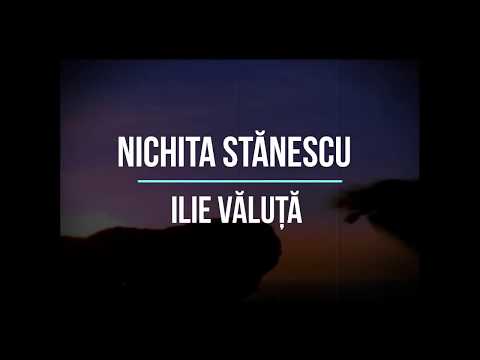 Ilie Văluță - Respirarea aerului de sub aripă (versuri Nichita Stănescu))