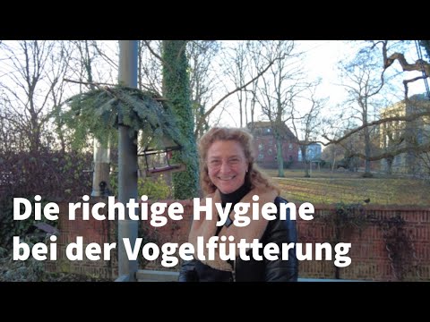 Vögel sauber füttern | Vogelgarten Gmbh