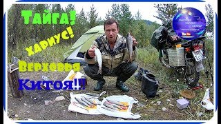 Рыбалка в верховьях китоя снасти