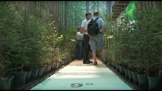 Gemeinsam für den Wald der Zukunft