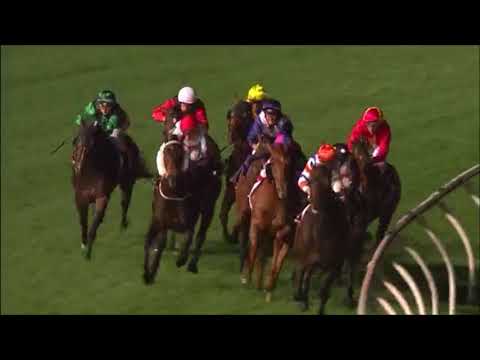 2017 Ladbrokes Manikato Stakes - Hey Doc