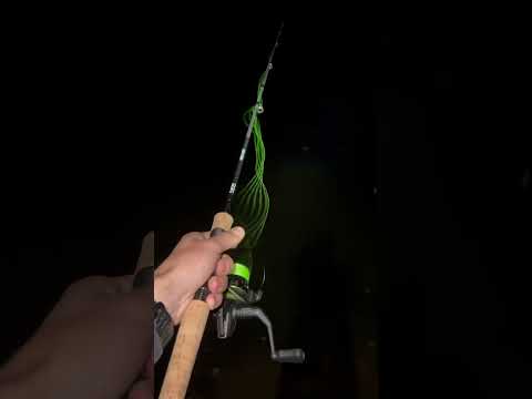 VARA E MOLINETE MARURI MIDGARD by NELSON NAKAMURA - PESCA ESPORTIVA