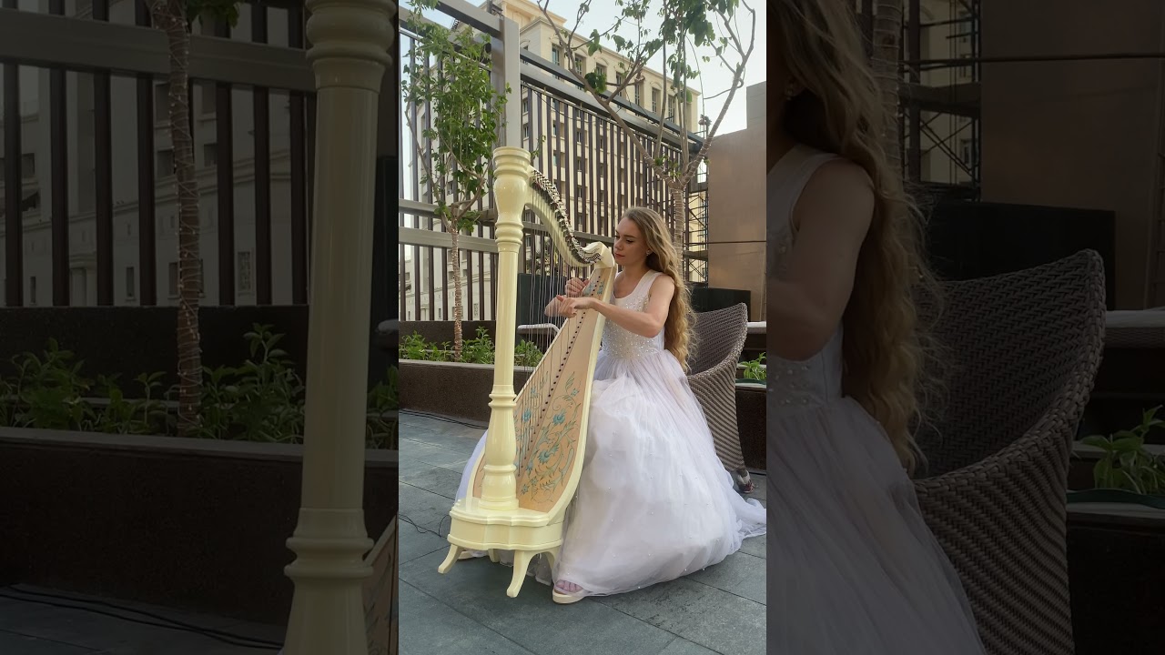 Promotional video thumbnail 2 for Harp to Heart
