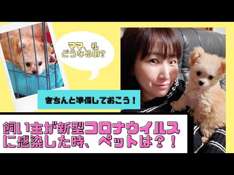 国際関係学科 もし飼い主が新型コロナウイルスに感染したら、その時ペットは？！