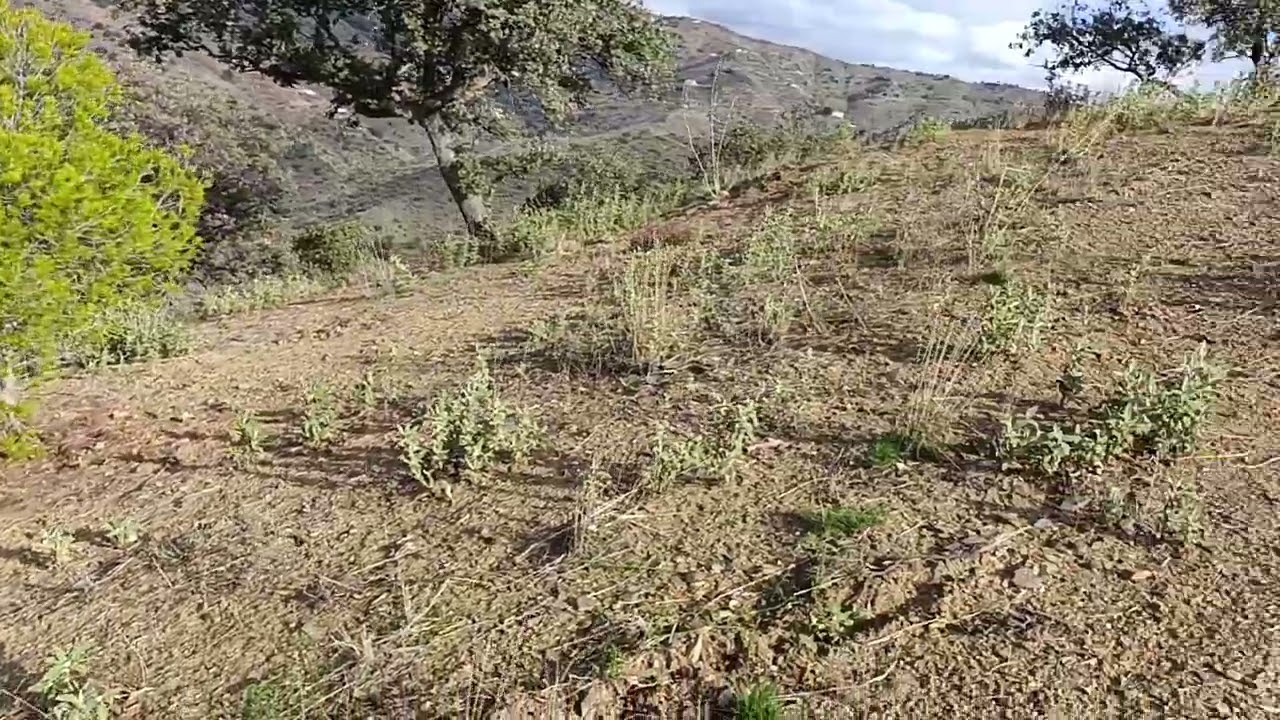 Finca en Venta en Málaga