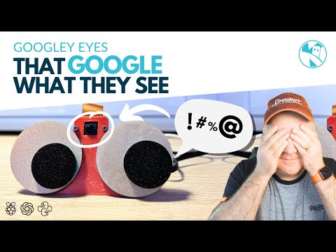 YouTube Thumbnail for Googley Eyes that Google what they see
