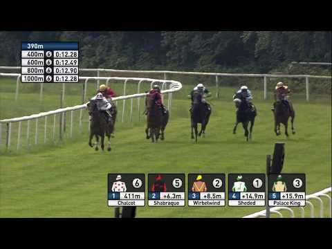 Galopprennbahn Dresden 16.06.2018 - Rennen 2