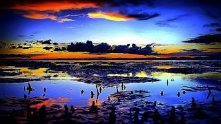 Great Lake Swimmers - Your Rocky Spine