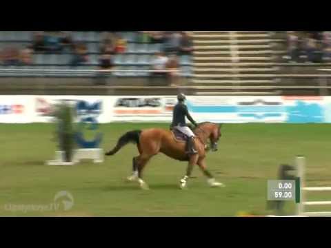 082014 - Finale Hann. Championat der 5-jährigen Springpferde