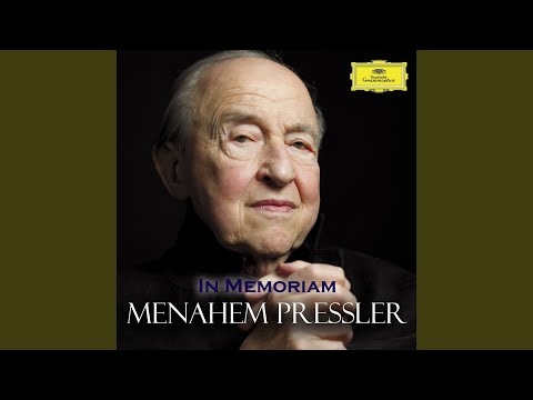 Schubert: Piano Trio No. 1 in B flat, Op. 99 D.898: 2. Andante un poco mosso