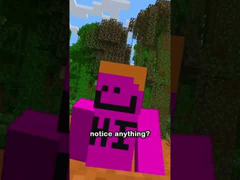 THE SECOND THING I WOULD CHANGE ABOUT MINECRAFT