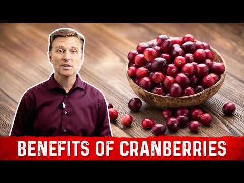 The Unique Benefits of Cranberries – Dr. Berg