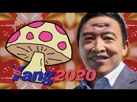 アンドリュー・ヤンがサイケデリックなキノコを承認 (Andrew Yang Approves Of Psychedelic Mushrooms)