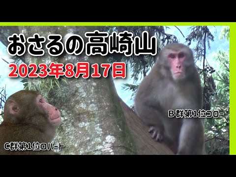 E3: ESA が 2023 年の復帰を発表