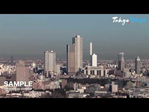 [Tokyo Footage] Shinjuku Skyscrapers & Mt. Fuji | 西新宿高層ビル街（富士山背景）（Tokyo Japan）