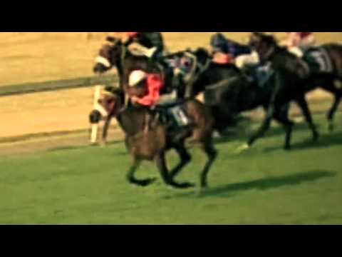 iGugu- 2011 National Yearling Sale