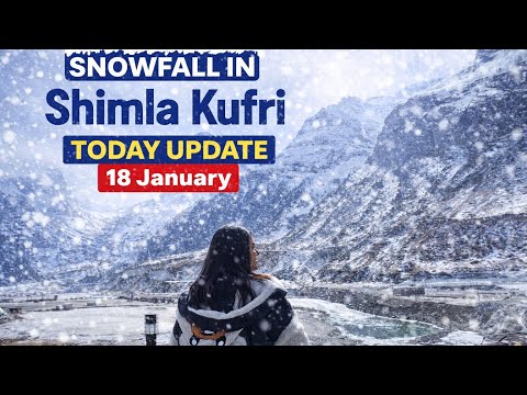 Shimla kufri snowfall today latest update | Spiti valley | shimla tour | famous view point 