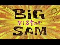 Big Sister Sam 5 5 Season 7 Bahasa Indonesia